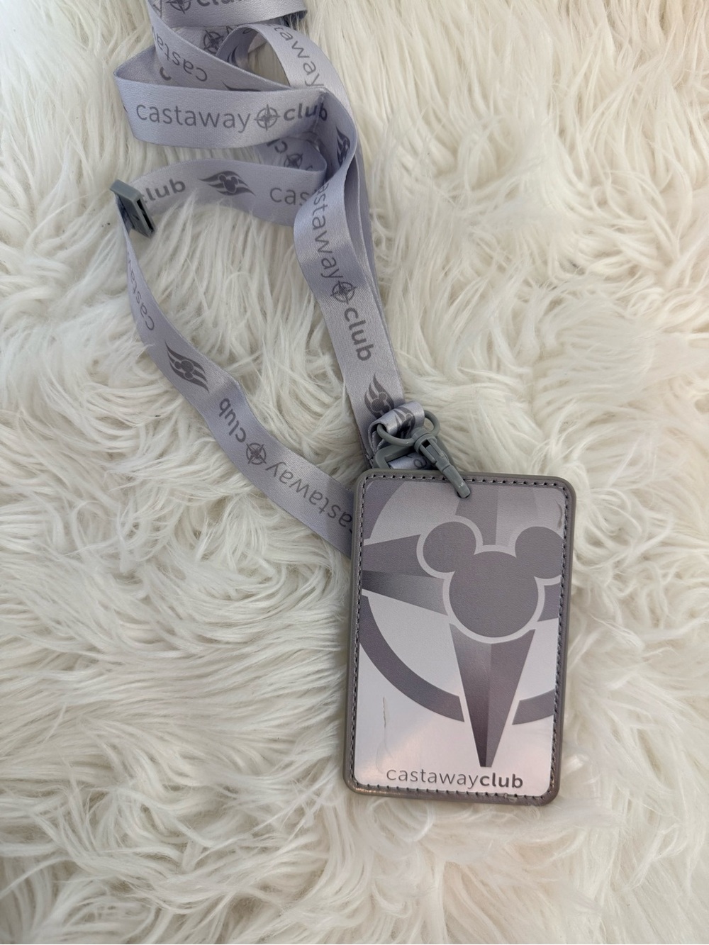💫10/$25 • Disney Cruise Line Castaway Club Silver NEW Lanyards
